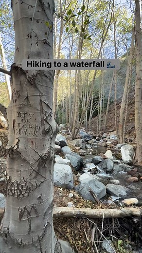 Water fall hike 🥾 | Lili Wang