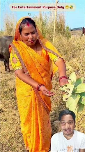 Building Wooden Log Cabin in Forest 🐈 Survival House Step (Part573)