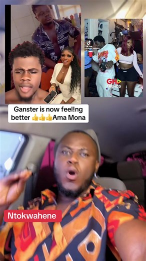 Update on Ganster's Condition and Ama Mona's Story