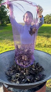 How to cook crab stir-fry recipe | Primitive Art