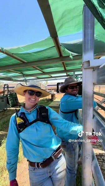 Branding season has begun #cattle #centralqueensland #stationlife #aussieag #outbackaustralia #beef #australianbeef #australiangrown #beefaustralia #agriculture #queenslandagriculture