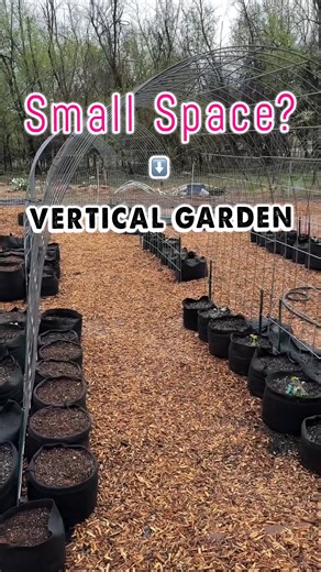 When garden space is tight, growing vertically changes everything 🌿 Dale and Carrie (@FromSeedtoSpoon) are setting up a smart, space saving garden using Smart Pots with cattle panels and T posts. Simple materials, solid structure, and a layout that lets vining crops climb instead of sprawl. Vertical growing means better airflow, easier harvesting, healthier plants, and more room to grow what you actually want. If your ground isn’t frozen solid, this is an easy project to knock out now and thank