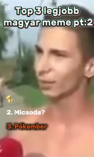 Top 3 legjobb magyar meme PT:2🇭🇺🫡 #funnyshorts #magyarmém #magyar
