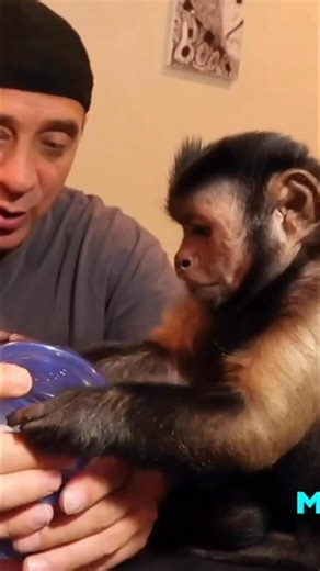 MonkeyBoo on Reels