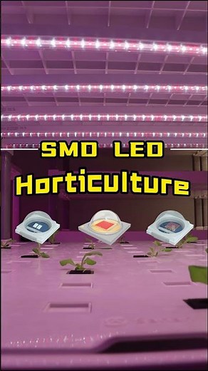 Horticulture LED Chip | The Future Of Future Agriculture
