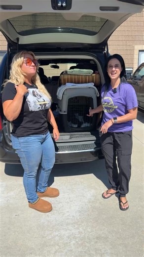 Our newest intakes from Animal Angels Network. | Pawportunities