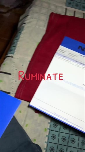 Exploring the Blue Card Benefits