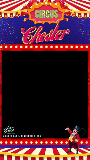 The Circus Came to the Ark! Watch the death-defying balancing act of Chester the cat! A playpen has never been more thrilling than this! 🕊If you'd like to support Ark of Grace Ministries and all of our beautiful animals, please go to www.arkofgrace-ministries.com/donate. | Ark of Grace Ministry