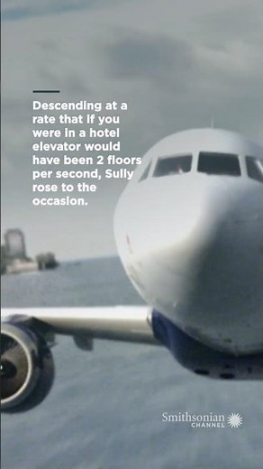 US Airways Flight 1549, the Miracle on the Hudson | Air Disasters #Shorts