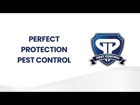 Perfect Protection Pest Control Services
