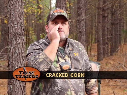 CRACKED CORN - 3 Reed Ghost Cut - “Just like hunting over bait” - Great soft calls & perfect clucks and purrs. Handmade one at a time on specially designed presses. Only the highest quality of latex, tape and frames are used to make these calls. Consistency is our number one priority. Our diaphragm calls are easy to blow and have the realistic sound that will drive the Toms wild! | Tom Teasers Custom Calls