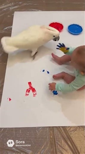 Cockatoo Paints With Baby 🎨😆 | Cutest Creative Moment Ever