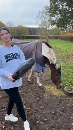 Sharing this horsey hack for the second year in a row because it’s 👏 a 👏 game 👏 changer 👏 This is the @gsequestrian Combo Neck 0g Turnout Rug, it’s a highly practical, no-frills, gets the job done kind of rug. Whether your horse lives in or out, having a rug you can whip on and off and get dry in a jiffy makes such a difference. Also saves on the re-proofing costs for the year after! In terms of sizing, I personally don’t size up in this, Laragh wears a 6’6 and Ember wears a 6’0. You can siz