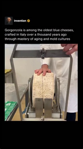 Invention on Instagram: "Gorgonzola is widely recognized as one of the oldest blue cheeses still produced today. Its origins trace back over a thousand years to the region near Milan where early cheese makers developed a unique method of aging curds that encouraged natural blue mold growth. This long history places Gorgonzola among the earliest documented examples of deliberate mold ripening in dairy production. The traditional process relied on caves and cellars that maintained cool, humid cond
