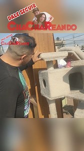 Restauramos un castillo rascador para gatos que chachareamos en el tianguis #TIANGUIS #Chachareando #reels #reelsfypシ #reelsvideoシ #daniylupita #restauracion #rascadoresparagatos | Chachareando
