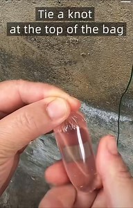 Use a piece of string to tie a knot at the top of the bag. #Viral | ShanghaiEye