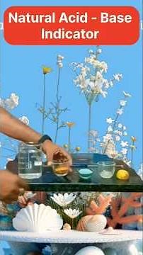 Natural Acid- Base Indicator #youtube #chemistry #experiemen