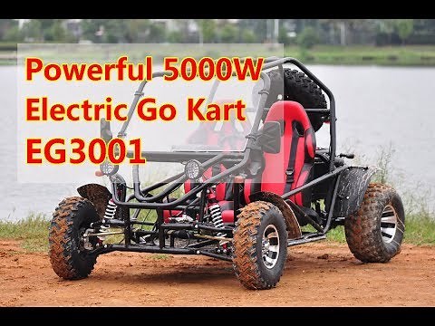 Powerful 5000W Electric Go Kart EG3001
