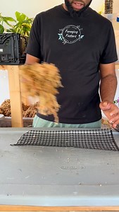 Just me, my plants, and yet another moss pole tutorial no one asked for but you’re still watching. At this point, y’all probably think I live inside a moss pole factory. #plantsmakepeoplehappy #satisfying #mosspole | Foraging Fosters