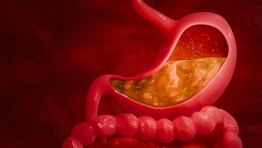 Stomach Acid Can Dissolve Metal, So How Does It Stay In Our Stomachs?