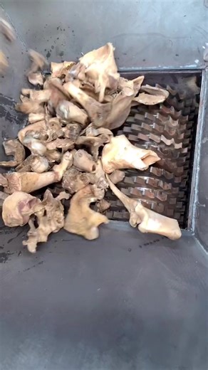 Understanding Bone Crushing Technology in Shredders