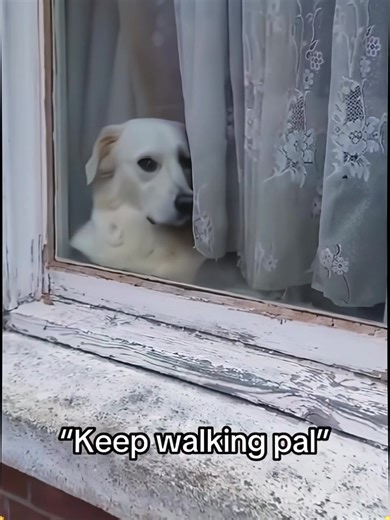 Prank Compilation That Will Make You Laugh