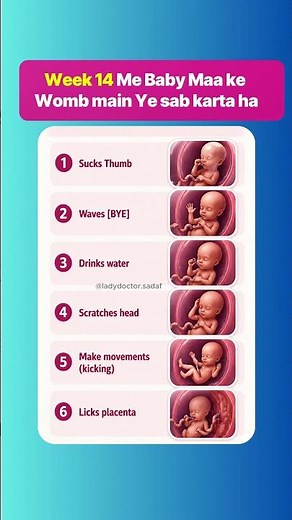 14 Weeks Pregnant: Baby Moves Already? 😍 Inside Womb Growth & Development Week 14