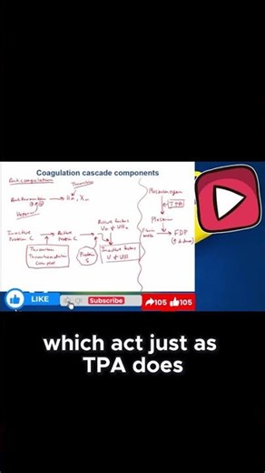 Plasminogen Pathway & Thrombolytics The Body’s Natural Clot Busters Explained!