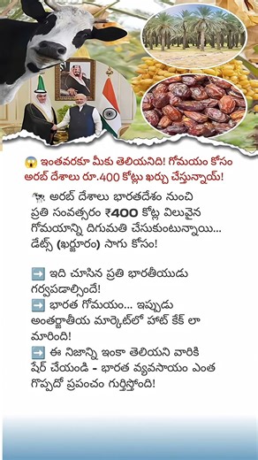 Arab Nations Import ₹400 Crore Cow Dung from India Every Year for Date Farming – Shocking but True!