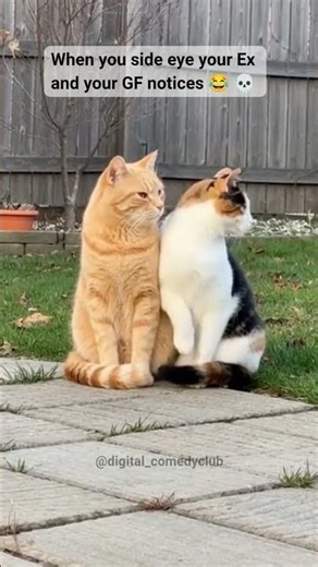 When you see your ex on the street while you are with your girl 💀🙌