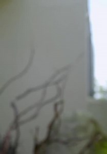 The Zoo S09:E01 - Episode 1