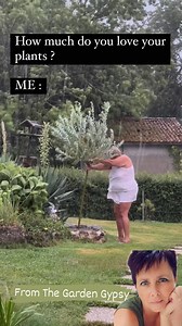 3.8M views · 30K reactions | I got you!!!! 華 Follow for more 華 @thegardengypsync #thegardengypsy #thegardengypsync #plants #plantlover #gardener #throughthestorm #reels #reelsinstagram #reelvideo #holdon | The Garden Gypsy. | Facebook