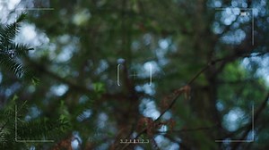 No more guessing games! Identify every bird with our feeder camera. High-definition birdwatching from your living room! 🛋️🔍 🌐 https://aivituvin.com/air106_0 | Aivituvin Pets