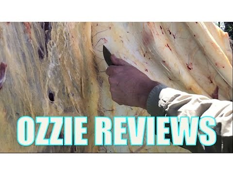 Benchmade "Hidden Canyon" Hunter Skinning Knife