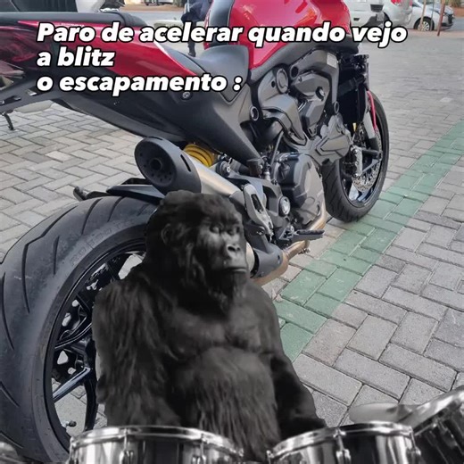 Os vídeos de Bauer Jr (@j.bauer17) com som original - Bauer Jr