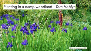 Planting in a damp woodland Tom Hoblyn