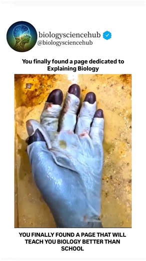 BIOLOGY UNIVERSE | You finally found a page dedicated to explaining Biology 🧬✨ Not the confusing, textbook-heavy kind — but the why, the how, and the wow... | Instagram