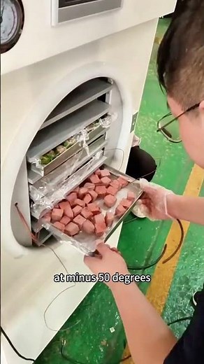 How Freeze-Dried Rabbit Meat Chunks Are Made: Industrial Processing & Storage Tour