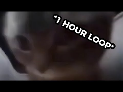 1 HOUR LOOP of ‘chipi chipi chapa chapa’ trend!