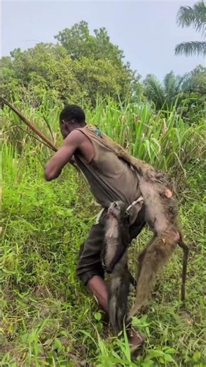 Hadza Tribe Hunting Baboon & Eating Traditional Meal in Wild #africanpeople #shortvideo