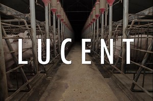 Lucent (2014) Full Documentary