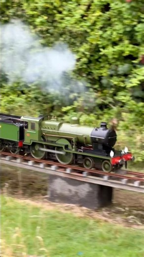 A TRULY STUNNING MINIATURE LOCOMOTIVE DISPLAY! 🚂💎 #MiniatureRailway #SteamTrain #ModelEngineering