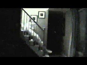 Easter Bunny Caught on Tape: Epic Fail | Lauren Francesca