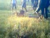 pit – смотреть видео онлайн в Моем Мире | ___Daniel___--- ______--7