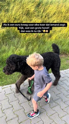 Video's van Melenie Beelen (@meleniebeelen) met original sound - B Light Richie