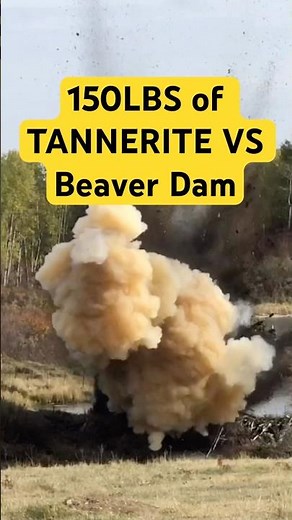 Tannerite Explosives vs. Beaver Dam: The Ultimate Showdown
