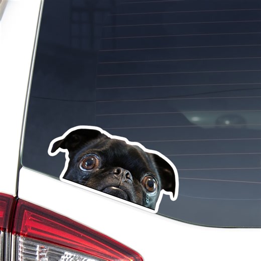 Buy Black Pug Car Decal: Peeking Dog Head, Waterproof Sticker Online in India - Etsy