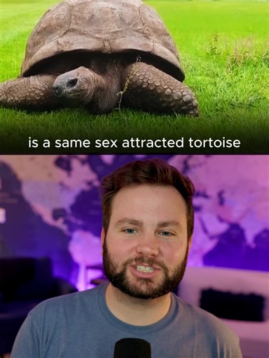 Wholesome Cross-Border Friendship from a Pizza Order