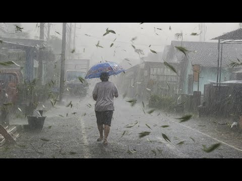 Crazy Rainstorm and Winds Sweeping Through in my Village | Super Sleep Aid - Rain Walk.