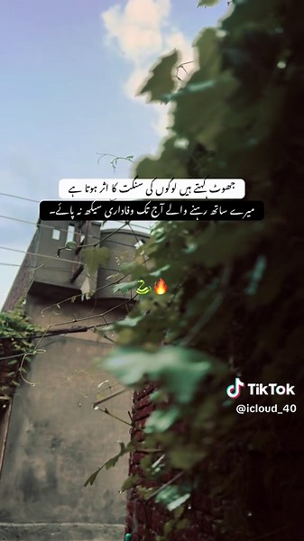 جھوٹ کہتے ہیں لوگوں کی سنگت کا اثر ہوتا ہے — وفاداری کی کمی پر سوچ